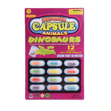 Load image into Gallery viewer, Freeshipping 12pcs Grow Water Absorption Larger Pill Various Inflatable Capsule Expansion Toy Colorful Puzzle Creative Kid Toys